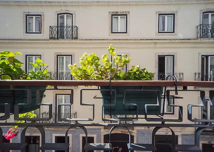 Intendente Prime By Hosty *